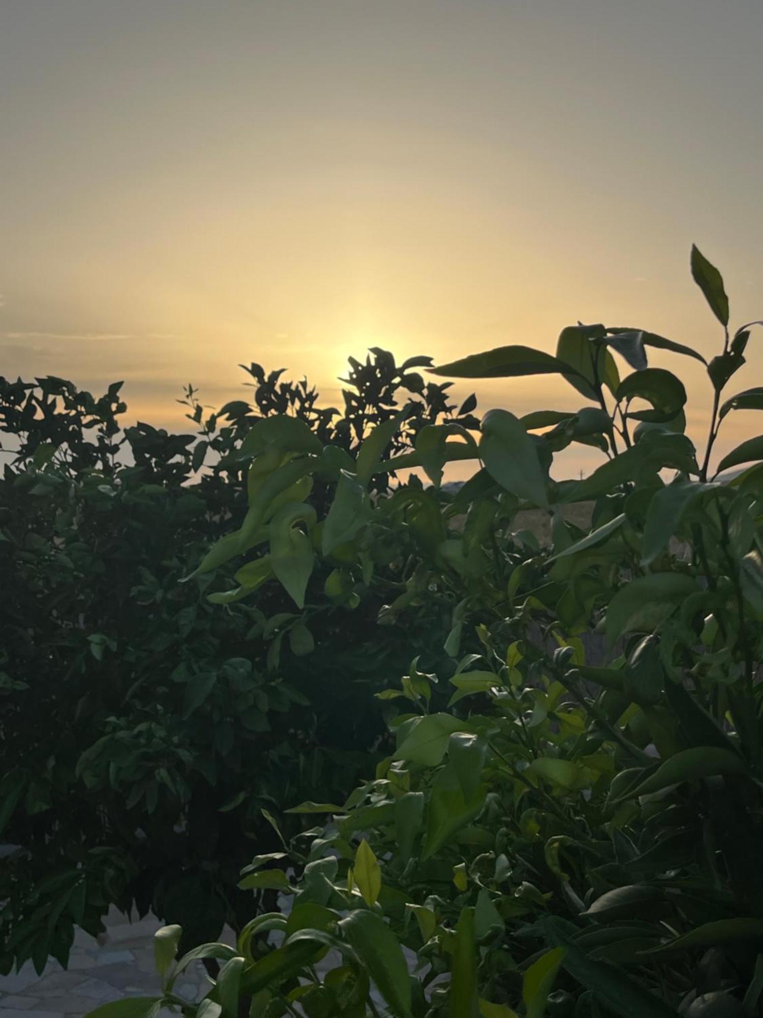 Il Tramonto Hotell Giba Exteriör bild